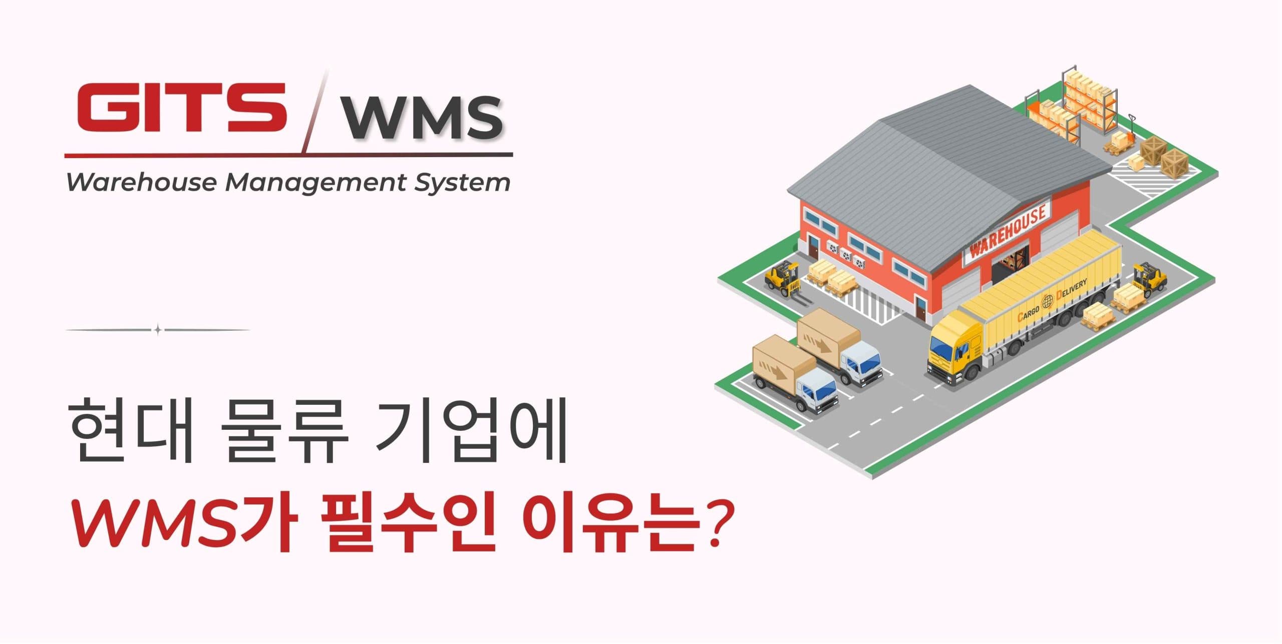 현대 물류 운영 혁신을 위한 WMS의 전략적 역할 - Global IT Solutions preview