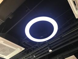 사용자 프로필 1