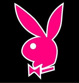 Profil utilisateur 1