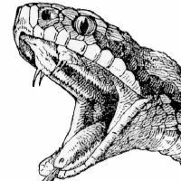 사용자 프로필 1