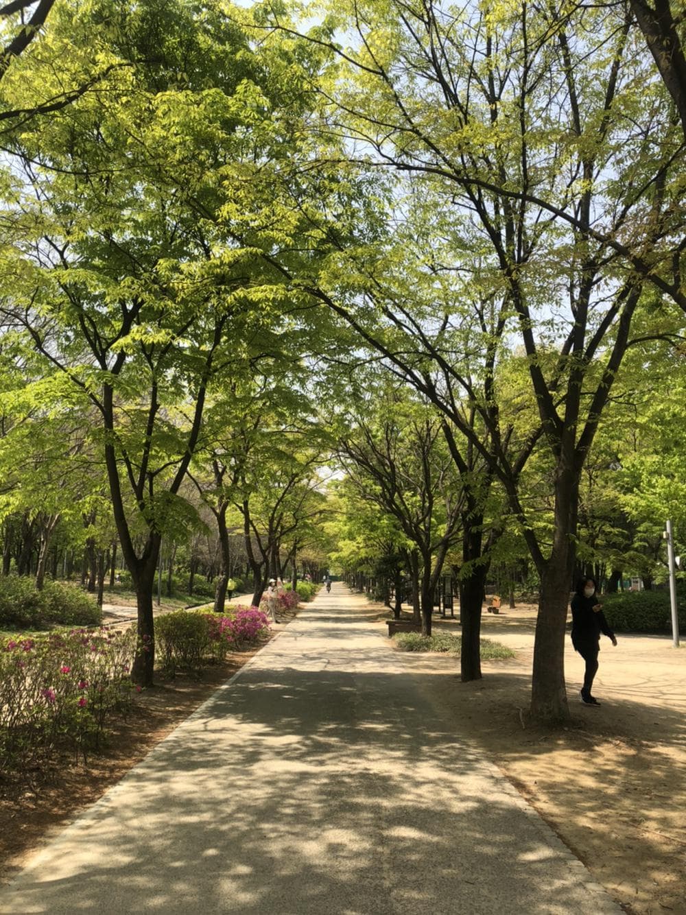 첨부 이미지