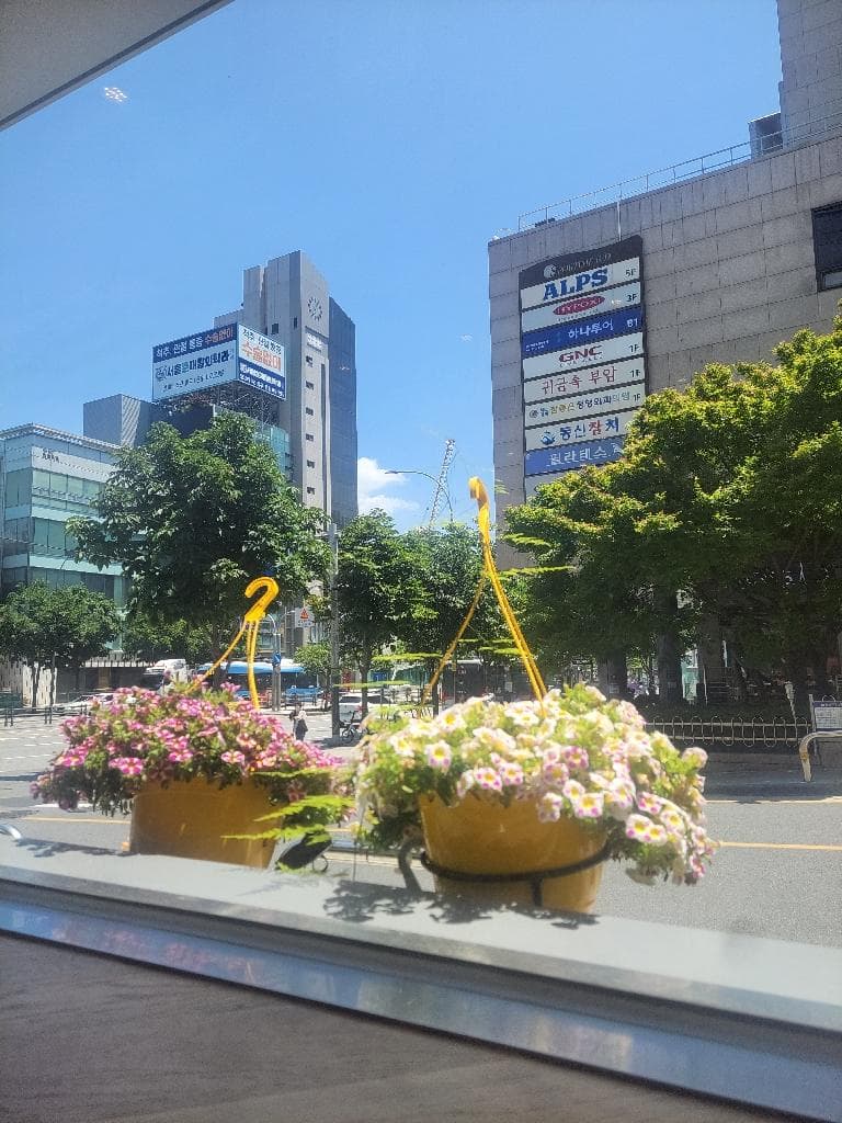 첨부 이미지