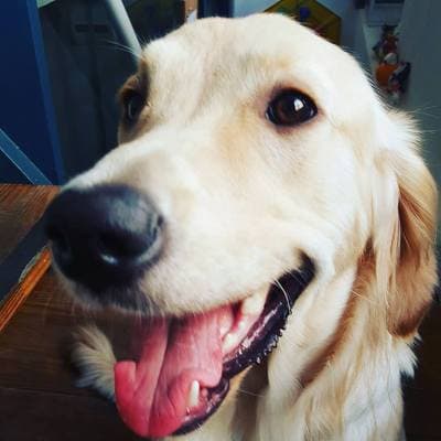 아노 Art Nomad의 브런치 preview