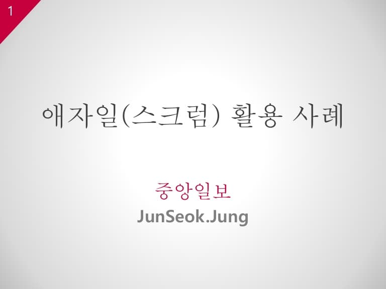 애자일활용사례 preview
