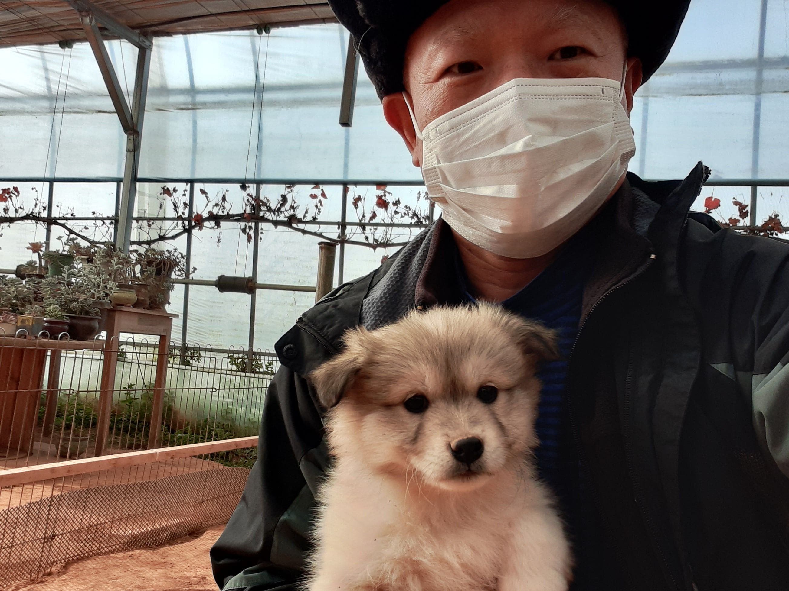 첨부 이미지