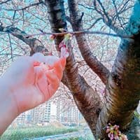 박솔향의 프로필 이미지