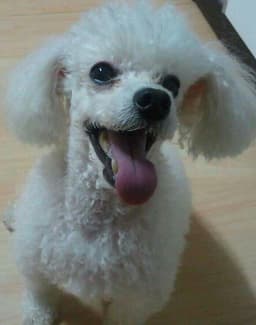 박형빈의 프로필 이미지