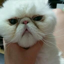 최동준의 프로필 이미지