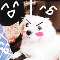 란란란란의 프로필 이미지