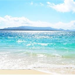 김경태의 프로필 이미지