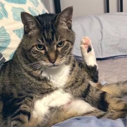 사용자 프로필 1