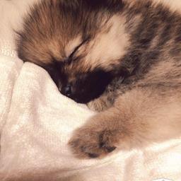 사용자 프로필 1