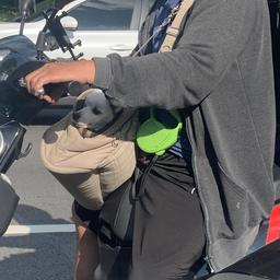 울랄라세션의 프로필 이미지