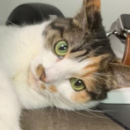 김한별의 프로필 이미지