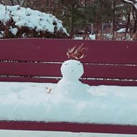 정의섭의 프로필 이미지