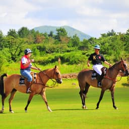 이민영의 프로필 이미지