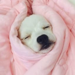 이예원의 프로필 이미지