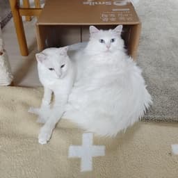 김준환의 프로필 이미지