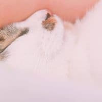 윤진아의 프로필 이미지