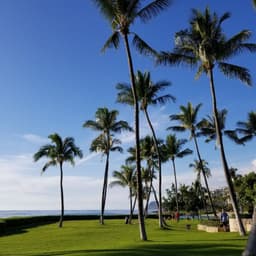 지현의 프로필 이미지