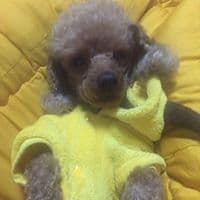 영주림의 프로필 이미지
