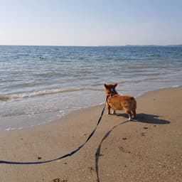 정순열의 프로필 이미지