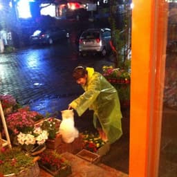 이경란의 프로필 이미지
