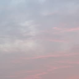 박단의 프로필 이미지