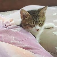 임민정의 프로필 이미지