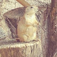 전승환의 프로필 이미지