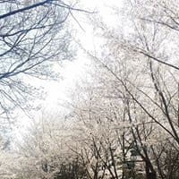 KimHyoungsuk의 프로필 이미지