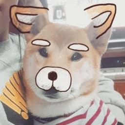김미영의 프로필 이미지