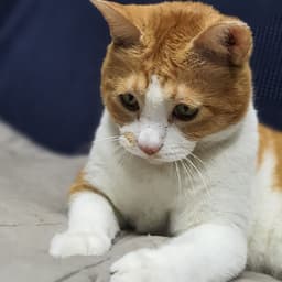 정승용의 프로필 이미지
