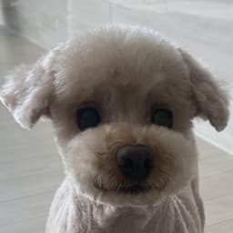 유가원의 프로필 이미지