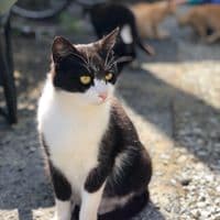 김지민의 프로필 이미지