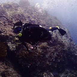 조정우의 프로필 이미지