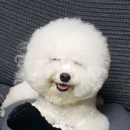 정성철의 프로필 이미지