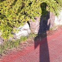 김광현의 프로필 이미지