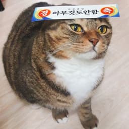 김완수의 프로필 이미지
