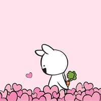조아름의 프로필 이미지