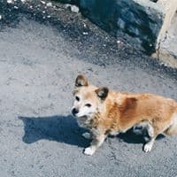 강준호의 프로필 이미지