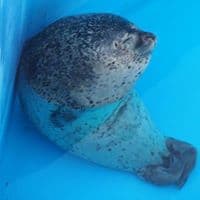 김명겸의 프로필 이미지