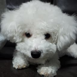 박수민의 프로필 이미지