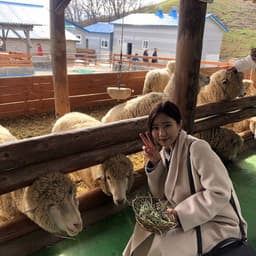 김다은의 프로필 이미지