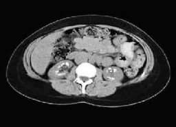강시은의 프로필 이미지