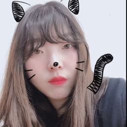 김보영의 프로필 이미지
