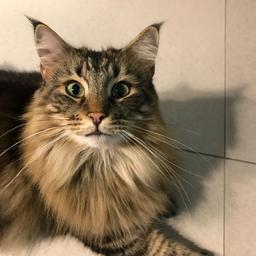 사용자 프로필 1