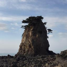 사용자 프로필 1