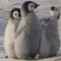 정예주의 프로필 이미지