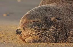 사용자 프로필 1